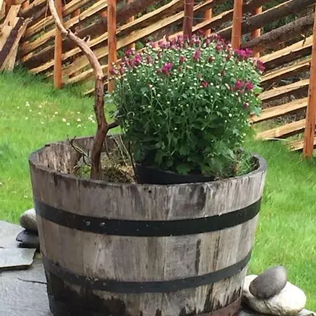 Hestasen Ved Sjusjooen